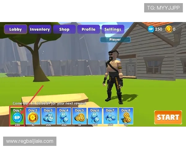 皇家ag现金游戏公平公正，严格监管确保每一局都公开透明