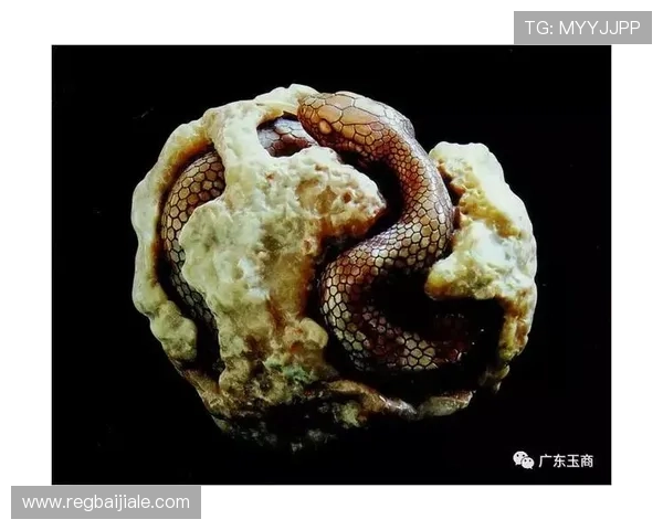 多宝真人的发源地及其在行业中的创新实践与发展策略 多宝真人的发源地及其在行业中的创新实践与发展策略