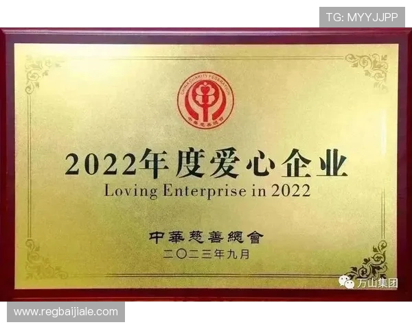 凯发真人集团有限公司在国际市场的布局与合作伙伴关系，探索其全球扩展的战略布局与未来发展方向